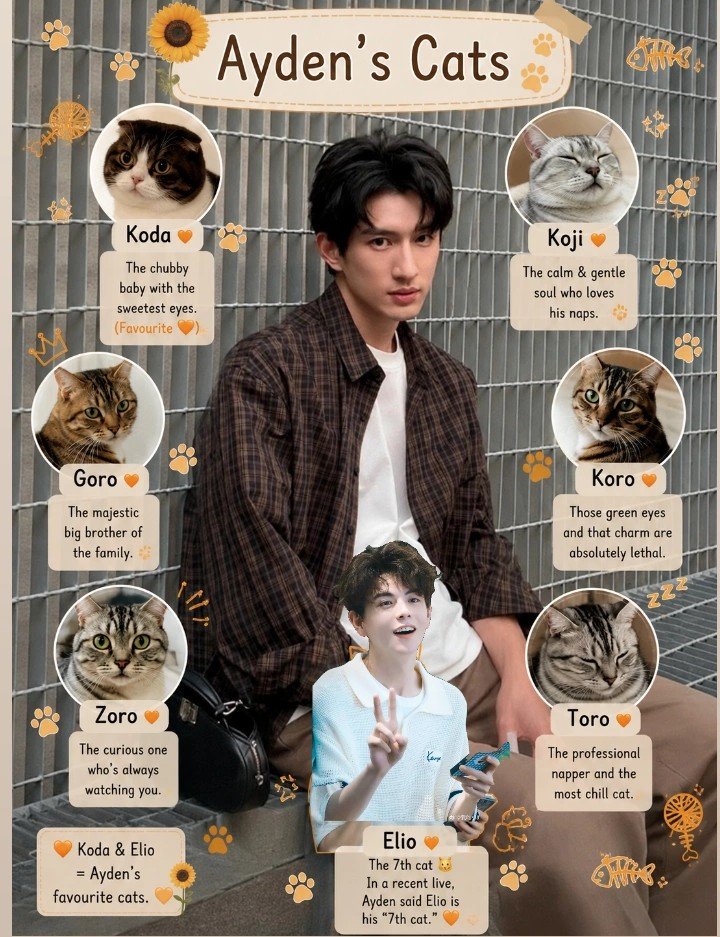 mrityunjay0818's tweet photo. Are there any auditions going on for Cat No. 8

#政瞳 #aylio #Aydensng #lyusitong https://t.co/WMzG2dwX4m