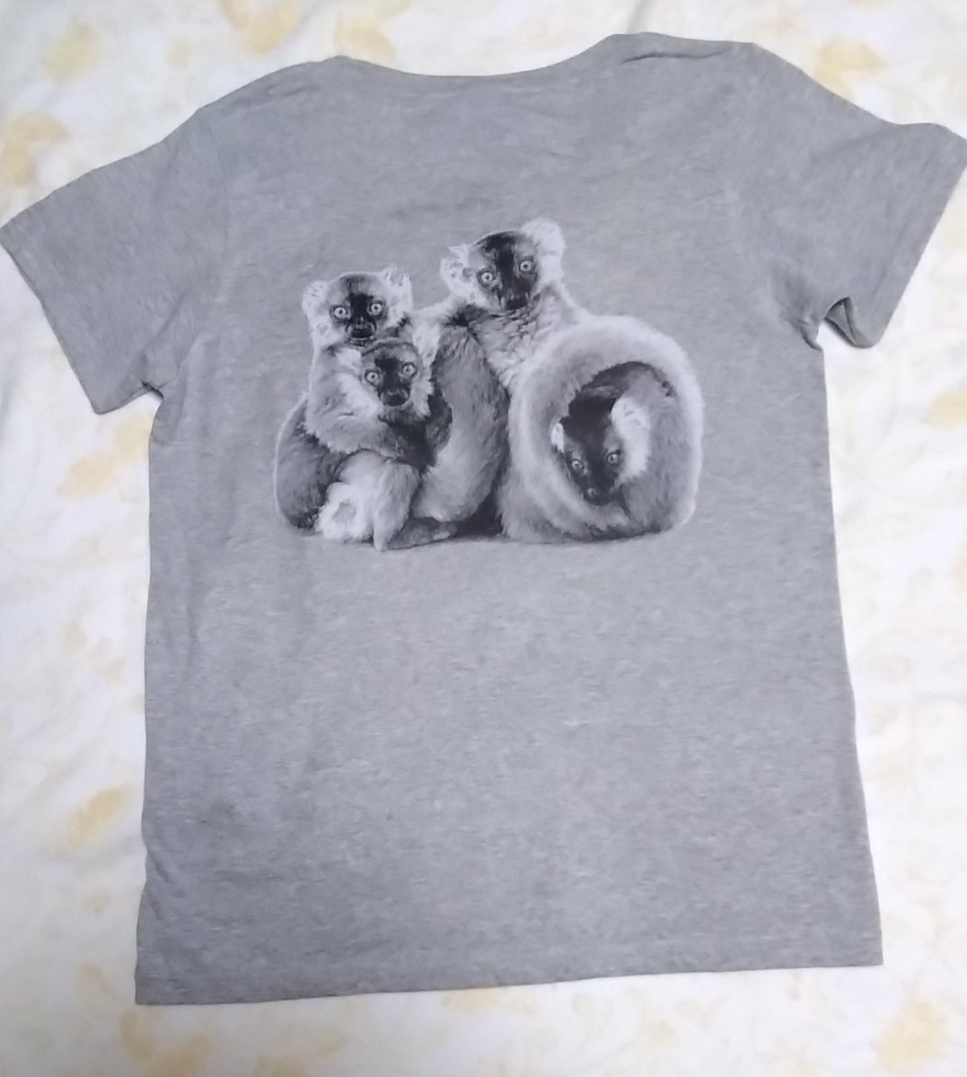 biorium53503's tweet photo. 世界にひとつだけ👕
#進化生物学研究所 #レムール
 #キツネザル https://t.co/iuh9K4Wlti