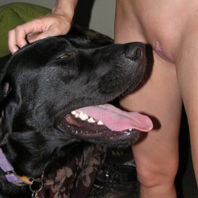 preciousJaaj8h's tweet photo. My dog got stuck inside me on telegram Dm for price and menu
💦🍆👇👇👇
https://t.co/SL2NwlFgz7

#beastiality #dogknott #dogknotting
#k9 #taboocontent #dogknottqueen
#zoopride #zoosarevalid #zoophillia
#zoophili https://t.co/P1RRqOlYWR