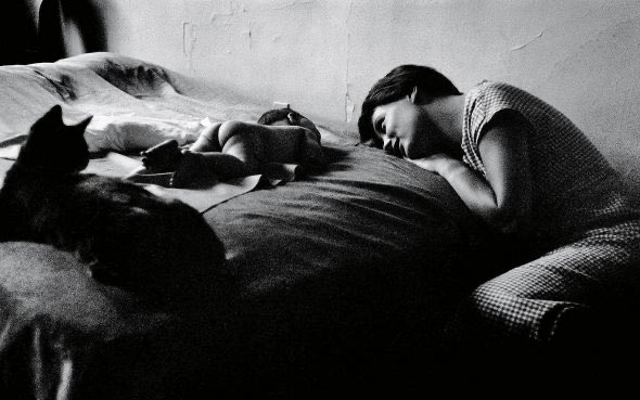 Fanrizio21's tweet photo. Lucienne and Ellen
New York  1953

Elliott Erwitt https://t.co/i7X9l6DNF1