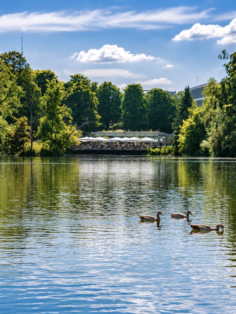 TravelTomorrowX's tweet photo. Not all views of Lago are the same, keep scrolling 💚
📍 Lago Restaurant, Tervuren, Belgium
📸 Aris Setya
#Tervuren #Belgium #VisitTervuren #LagoRestaurant #lake #beautifulviews #tourism #travel https://t.co/HgOk6UE26l
