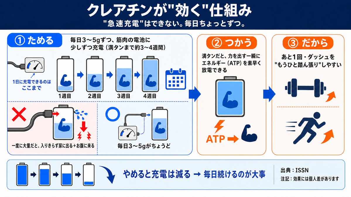 uno16s's tweet photo. 最近「筋トレだけじゃなく脳疲労にも効くらしい」とXやYouTubeでも大バズりのサプリ、クレアチン。

【もったいない飲み方】で実は損してる人も多いので、やりがちな失敗、あるある🥇🥈🥉を載せておきます↓

🥇はダントツであるあるです https://t.co/DljtVJreHs