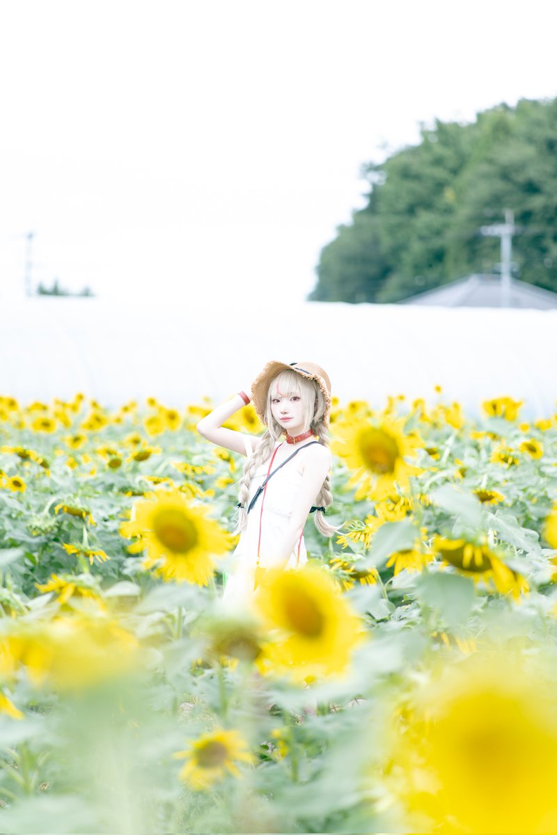 nothidarigawa's tweet photo. cos 🍼

夏始まった？

photo @yutarophoto https://t.co/YoBw8L9grv