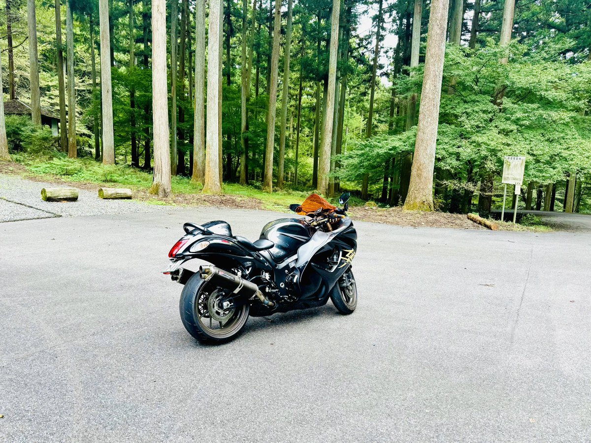 fds660S3's tweet photo. #2026年自分が選ぶ今年上半期の4枚 https://t.co/P6xnhw1AAn