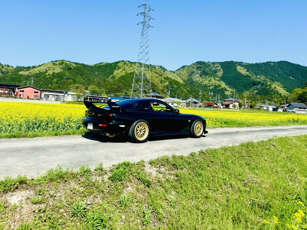fds660S3's tweet photo. #2026年自分が選ぶ今年上半期の4枚 https://t.co/P6xnhw1AAn