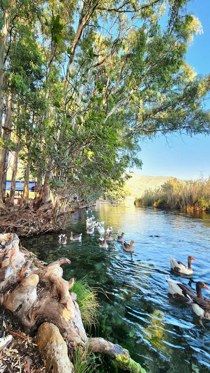 beautyexplorer0's tweet photo. Akyaka, Muğla, Turkey https://t.co/e5HPr4mRRX