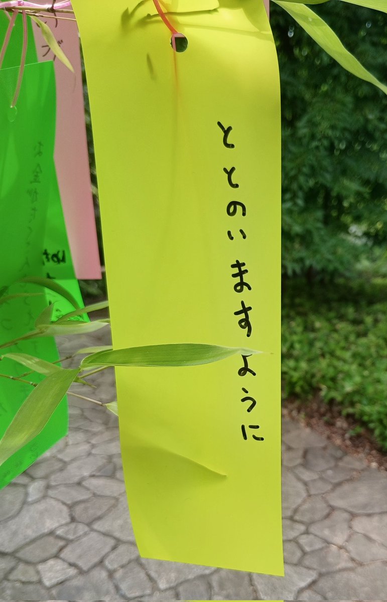 fish_dishes's tweet photo. 短冊🎋書いて来た。
#狼屋散歩部 https://t.co/TUUE4m6SgG
