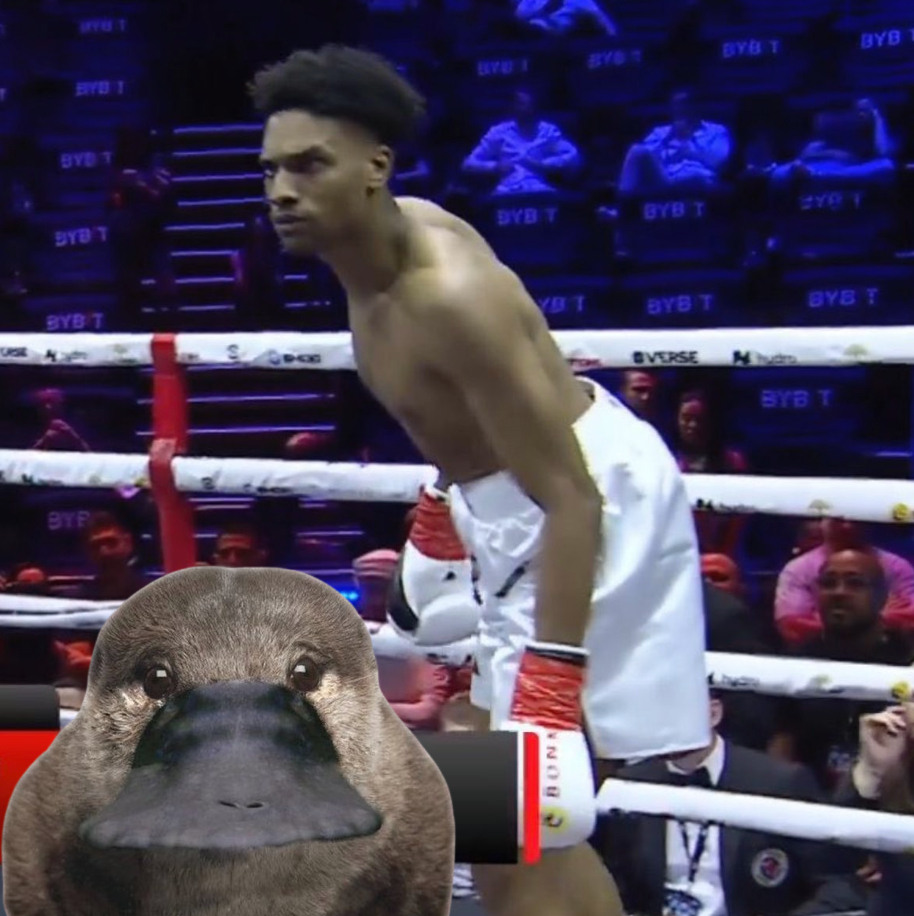 Zeeko__Sol's tweet photo. This meme of a Platypus is currently going viral and its the most memeable animal template we've had in a long time

People have been screaming 'lets return to memes'...

This is a perfect one for everyone to get behind 

Post your Platypus meme https://t.co/DXDfoaIwY8