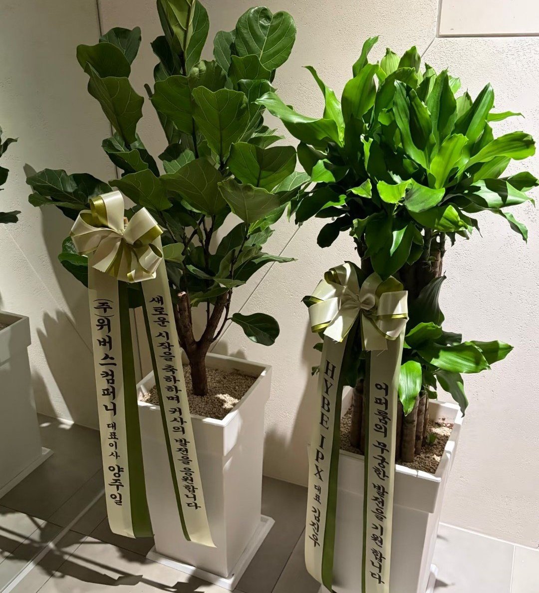 chaechmogusun's tweet photo. CEO Weverse dan CEO HYBE IPX mengirimkan karangan bunga ucapan selamat untuk Upper Room 🥹🥹

Yang Joo-il (CEO Weverse Company): selamat atas langkah awal yang baru ini. semoga Upper Room terus tumbuh dan berkembang.
CEO HYBE IPX: kami mendoakan agar Upper Room terus berkembang dan meraih kesuksesan tanpa henti.