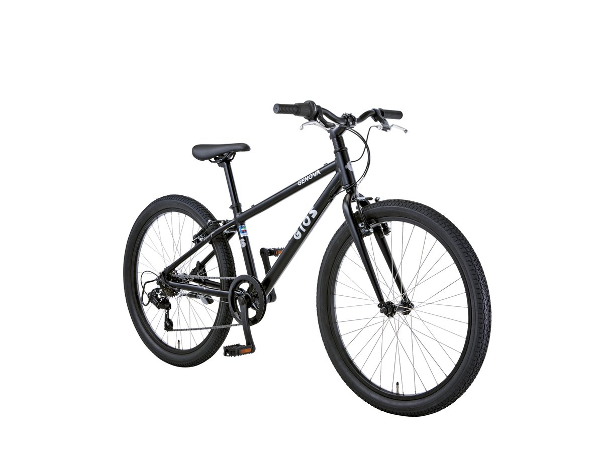 GIOS JAPAN (@gios_japan) / Posts / X