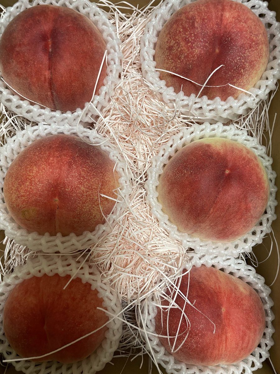 chayafarm2020's tweet photo. 🍑発送、順次しています😅
生育もバラバラで…

#桃
#お取寄せ
#山梨 https://t.co/2tsLZvUiuP