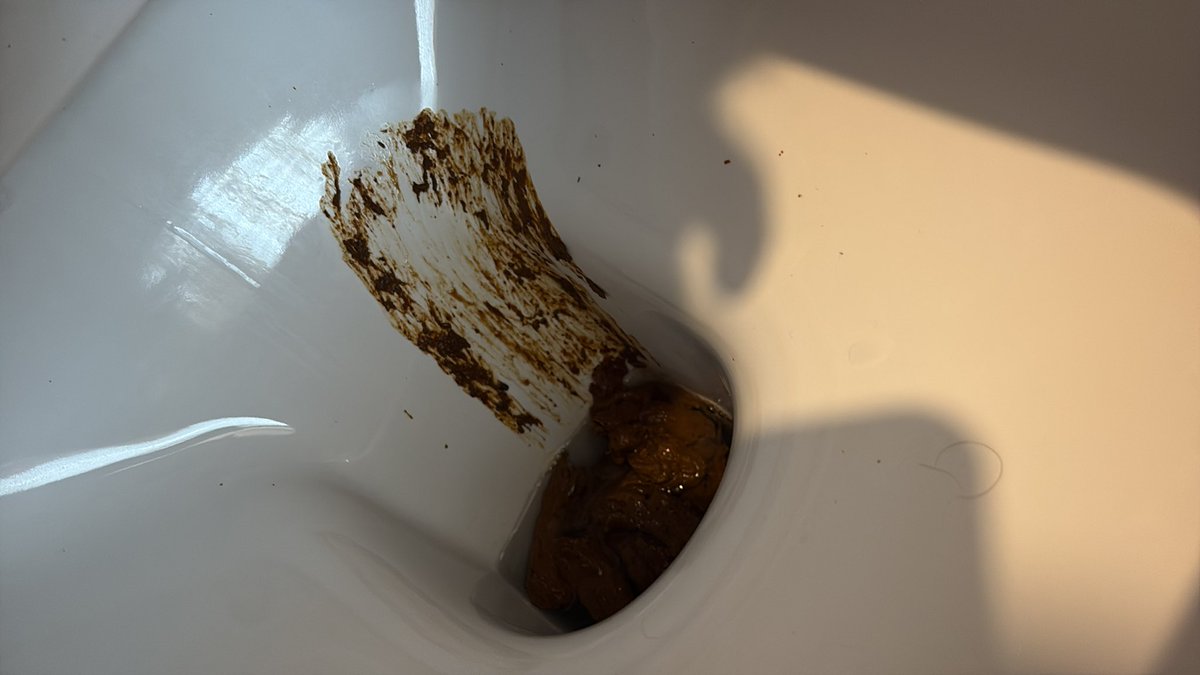 Georgieboiuk's tweet photo. Starbucks toilet RIP. Feel sorry for the janitor https://t.co/scBd8sZXnV
