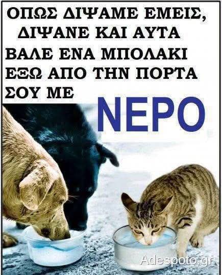 DEMAGRI7's tweet photo. Νεράκι για τις ψυχούλες 🐕🐕🐕🐕🐕🐈🐈🐈🐈🐈🐈🐴🐴🐴🐴🐴🫏🫏🫏🫏🫏🦔🦔🦔🦔🦔🐦🐦🐦🐦🐢🐢🐢🐢🐢🦋🦋🦋🦋🦋🐝🐝🐝🐝🐝🐝🐞🐞🐞🐞🐞🐞🐈‍⬛🐈‍⬛🐈‍⬛🐈‍⬛🐈‍⬛🐈‍⬛🐕‍🦺🐕‍🦺🐕‍🦺🐕‍🦺🐕‍🦺🐕‍🦺❤️❤️❤️❤️❤️❤️❤️❤️❤️❤️❤️❤️❤️❤️❤️❤️❤️❤️❤️❤️❤️❤️❤️❤️❤️❤️❤️❤️❤️❤️❤️❤️❤️❤️❤️❤️❤️❤️❤️❤️❤️❤️❤️❤️❤️❤️❤️❤️❤️❤️❤️❤️❤️❤️❤️❤️❤️ https://t.co/cMv0YSNWB3