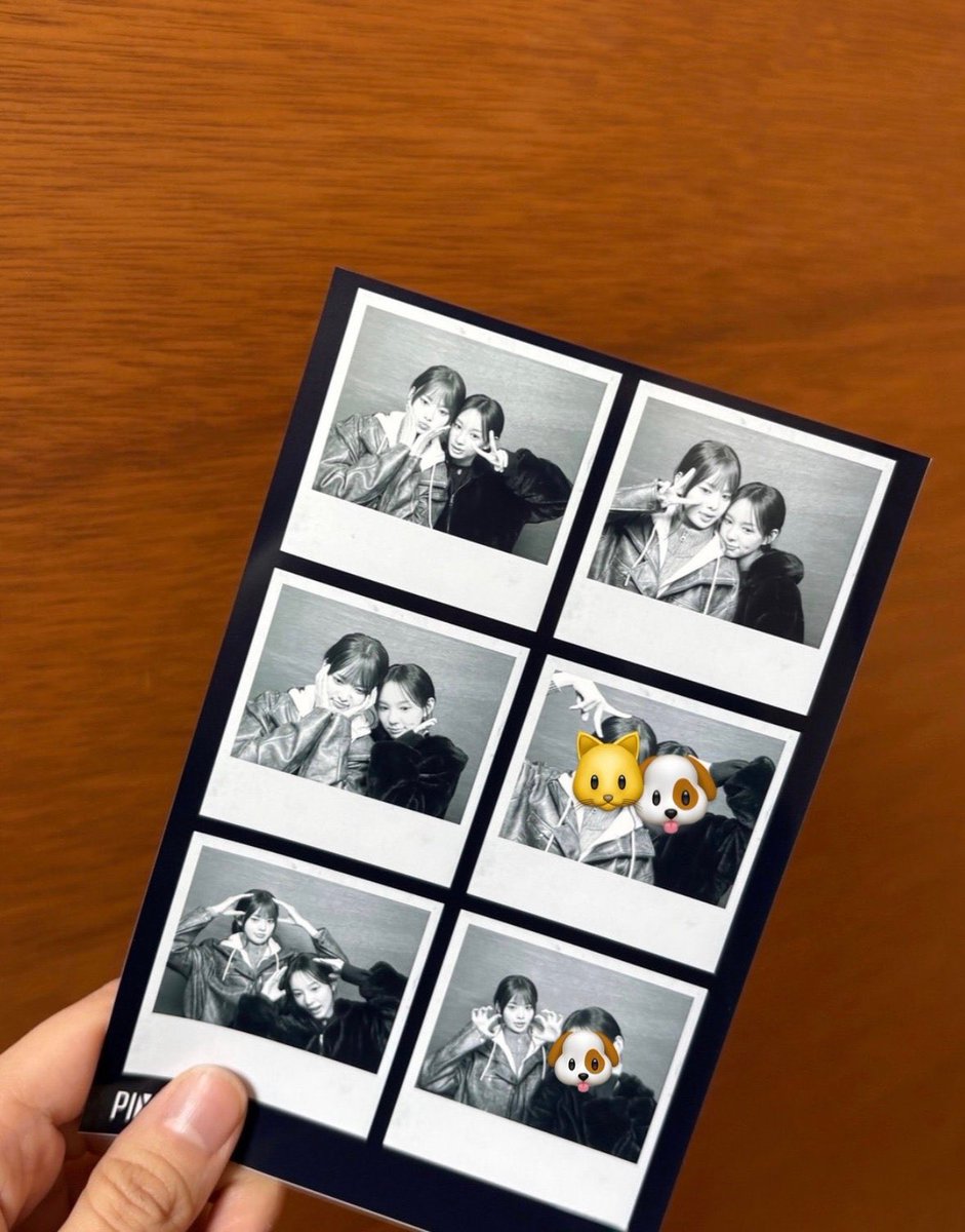 lovebearyu's tweet photo. OHMYGOD FINALLY https://t.co/5kUYQTTMD1