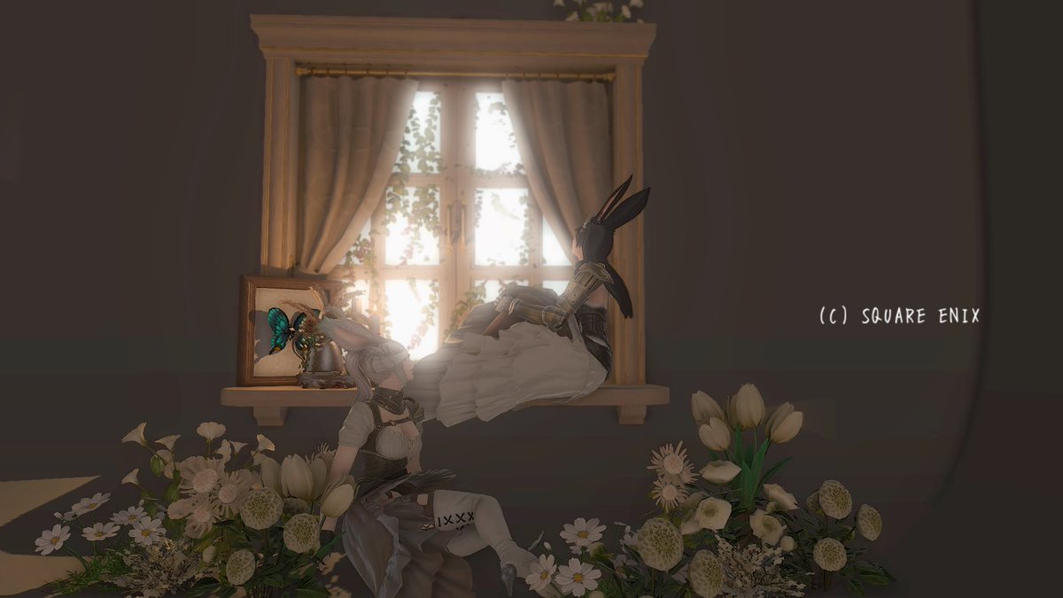 nemc_o's tweet photo. なんとなくディスコード漁ってたら
懐かしいss出てきて泣きそうになった
またいつかff14やりたいな https://t.co/XgK0xjIima