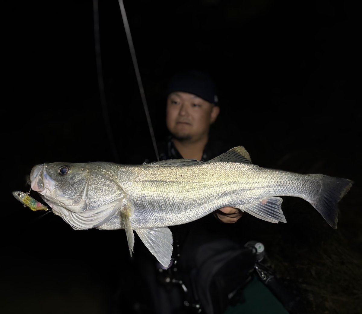 dress52's tweet photo. 6月のハクボイルにはタイドバイブ70とシーク85s。
魚からの反応も多く、楽しい週末でした。 https://t.co/7ZQeYt8dGi