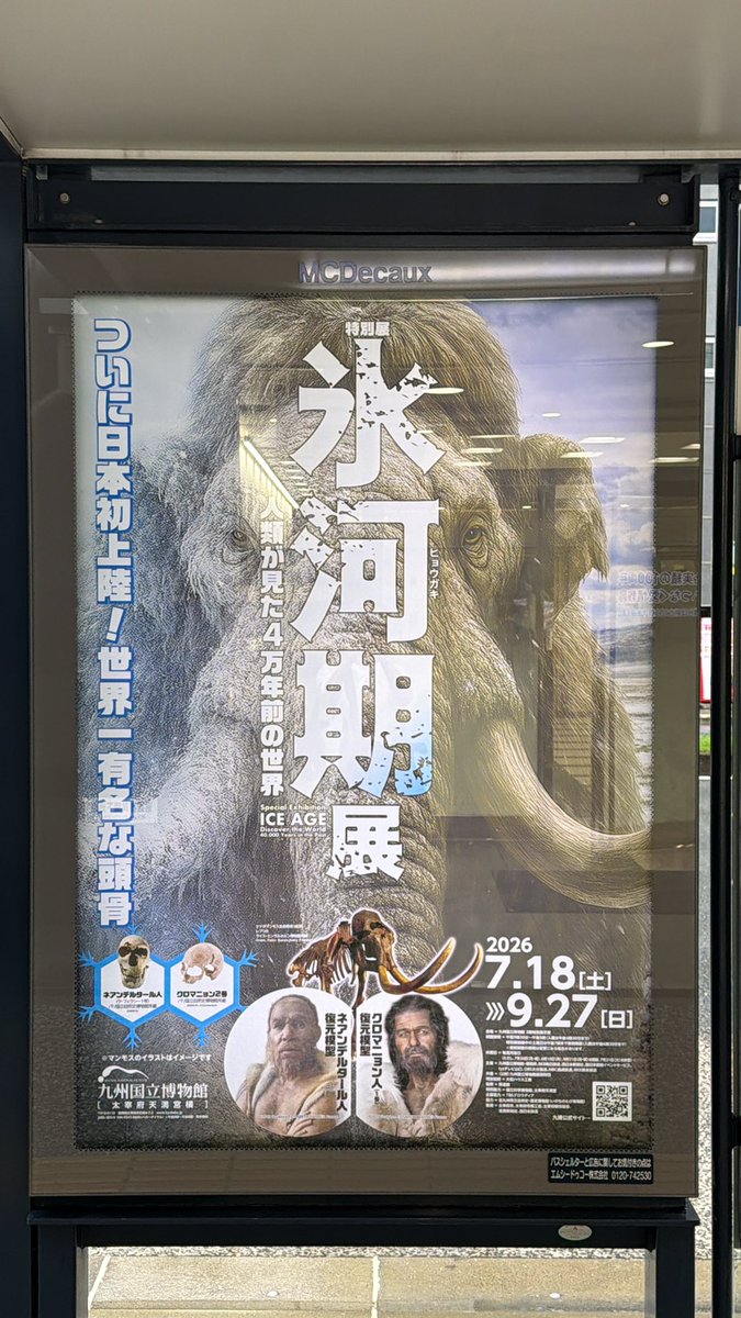Bonappetit1218's tweet photo. 夏はこれだ👍
クロマニヨン人
ネアンデルタール人の人類
江戸幕府の歴史が好き

アウストラロピテクスとか
北京原人とかの展示は前に見たから
その続きってことで

#バス帰り https://t.co/5IYDQNkJ5w