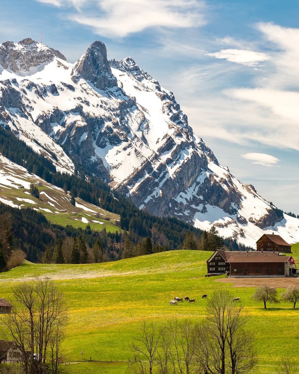 earthwhisperss's tweet photo. Countryside, Switzerland 🇨🇭 https://t.co/bj3rTatZzd