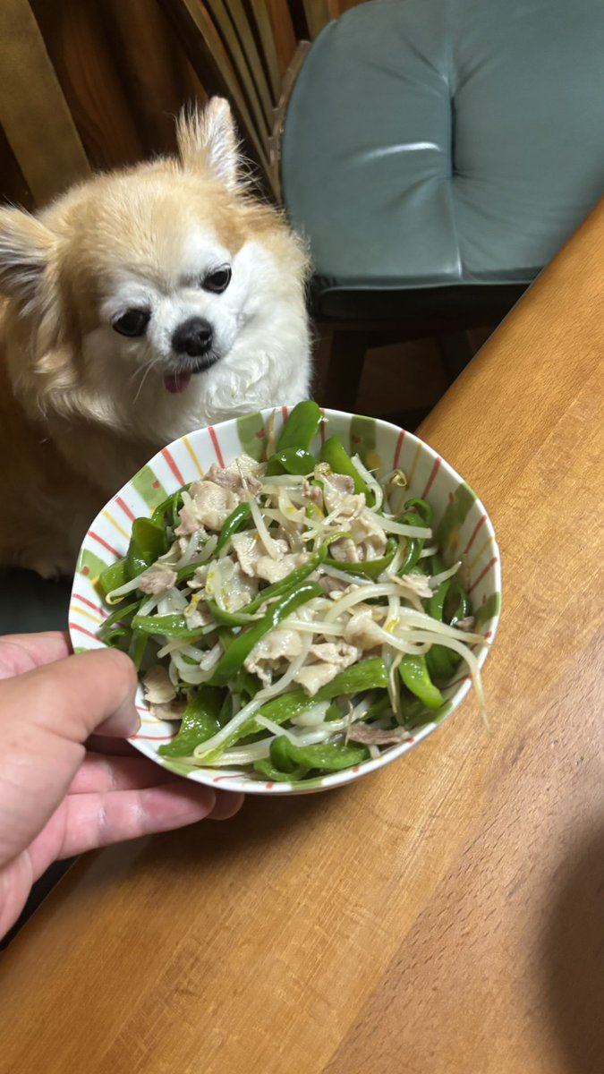 Post by チビ＆ココ on X: 野菜炒め✨️