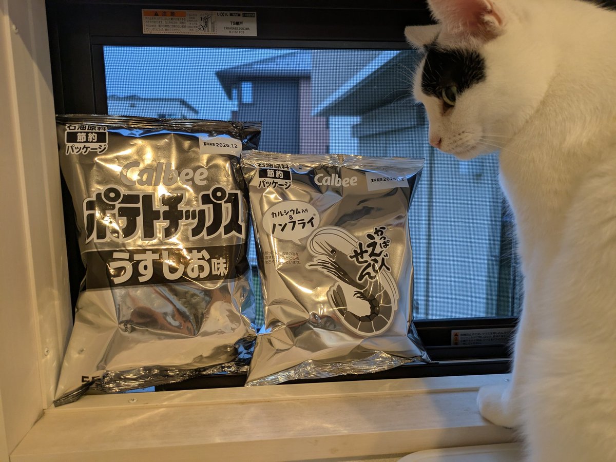 tsuntsun4141's tweet photo. 節約パッケージきたー！
逆に珍しく、海外に人気！ https://t.co/NfPoy2VbXL