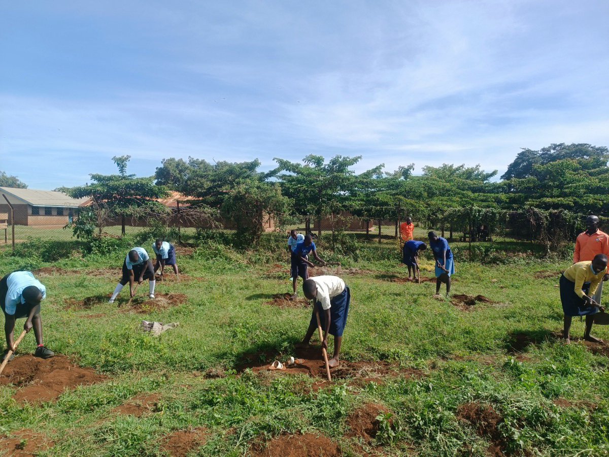 road_uganda's tweet photo. 🌳 Tree planting activities have been implemented in schools and communities as action to restore tree cover, improve biodiversity, and create sustainable sources of timber, fruit, and fuelwood for future generations. https://t.co/jyNYdGPc7Z