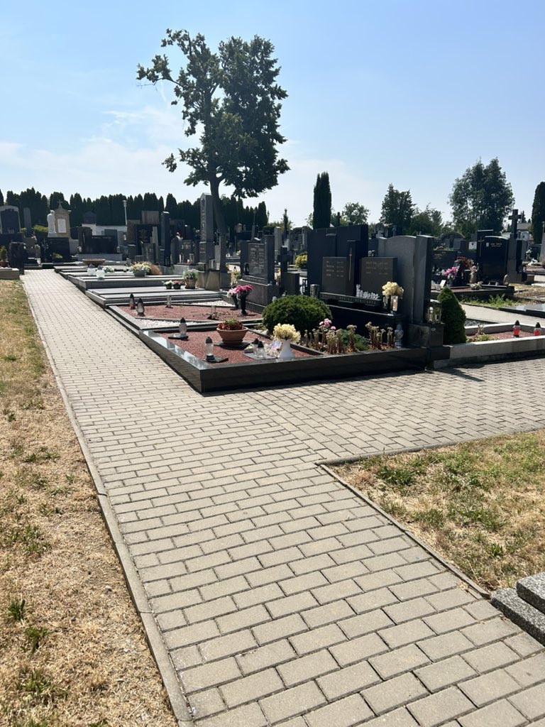Vaculik_CT's tweet photo. V Uherském Hradišti platí od 1. 7. zákaz vstupu se psy na hřbitovy. Radnice opatřením reaguje na stížnosti občanů. Psi podle nich zanechávali na hřbitovech nepořádek, který jejich majitelé neuklízeli. Zákaz neplatí pro asistenční psy. https://t.co/OwWuIfj41T
