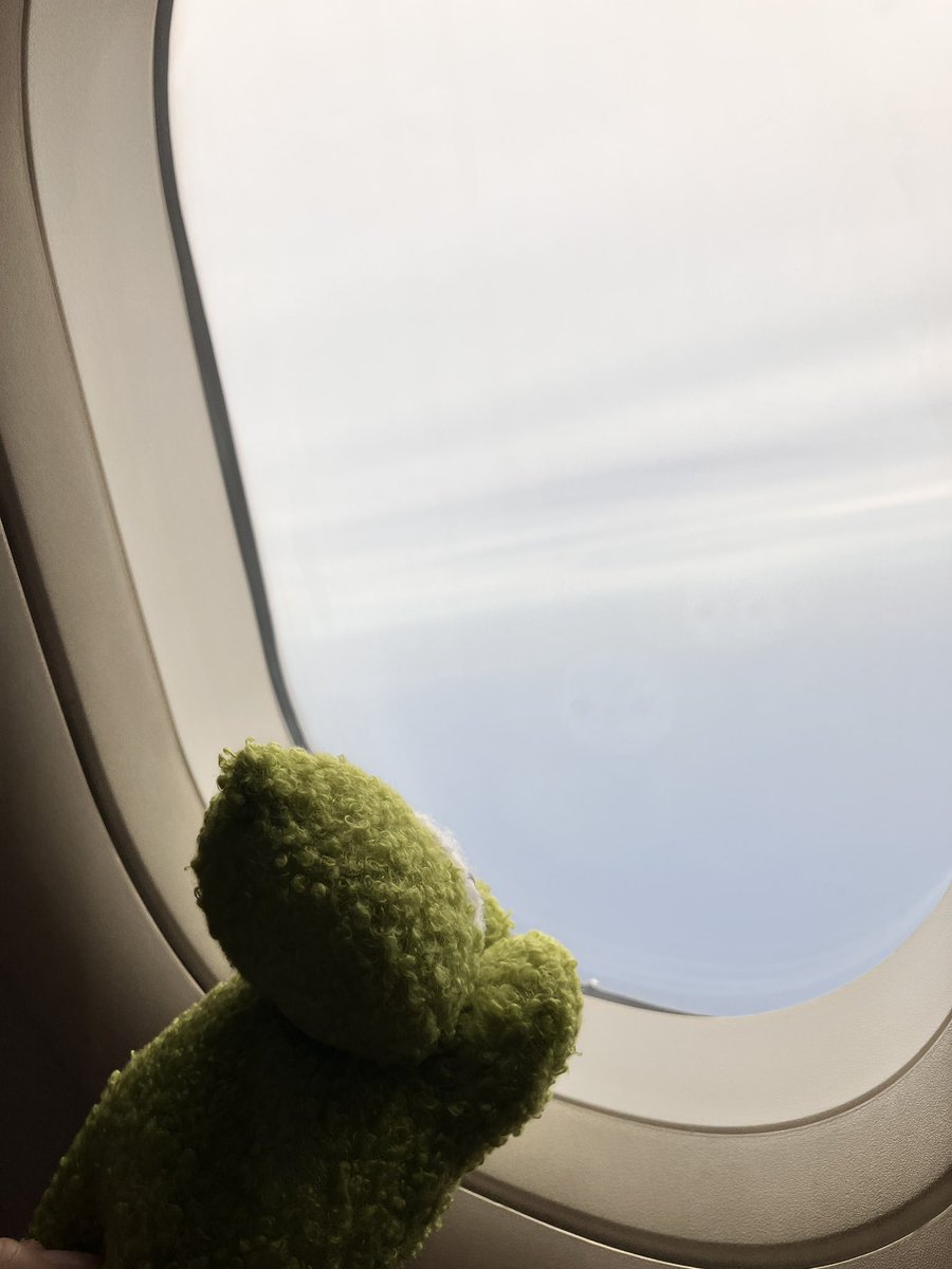 misisippinui's tweet photo. 初めての飛行機✈️ https://t.co/BrFhbWkUti