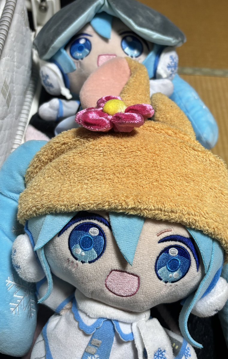 s1ryaL's tweet photo. わちゃわちゃ https://t.co/Te848myAOY