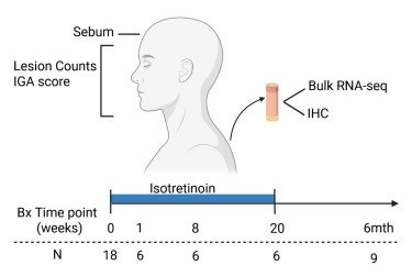 theJIDJournal's tweet photo. A report by Mackenzie Sennett et al., "Connectivity mapping with isotretinoin’s transcriptomic signature identifies alternative therapeutics for severe acne" https://t.co/1db4UAfket #JIDJournal #DermatologyJournal #dermatology #dermatologists #dermresearch #dermscience #dermatologyresearch