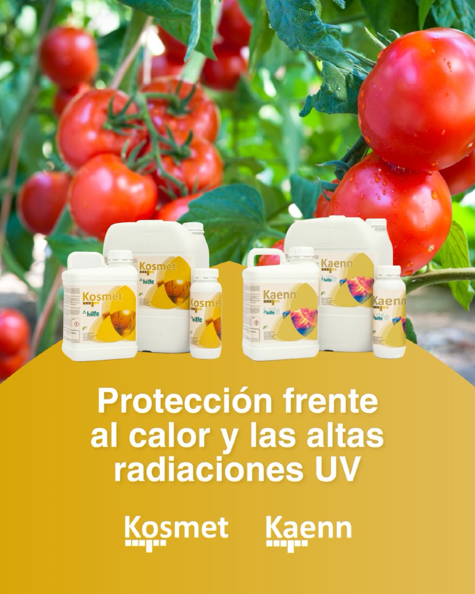 HilfeAgro's tweet photo. [Fil]
[1/3] ☀️ Las altas temperaturas, la elevada radiación y el estrés hídrico son algunos de los principales desafíos del verano. En estas condiciones, mantener el equilibrio fisiológico de la planta es clave para que el cultivo siga desarrollándose con normalidad. 👇 https://t.co/oTyJaJyVUs