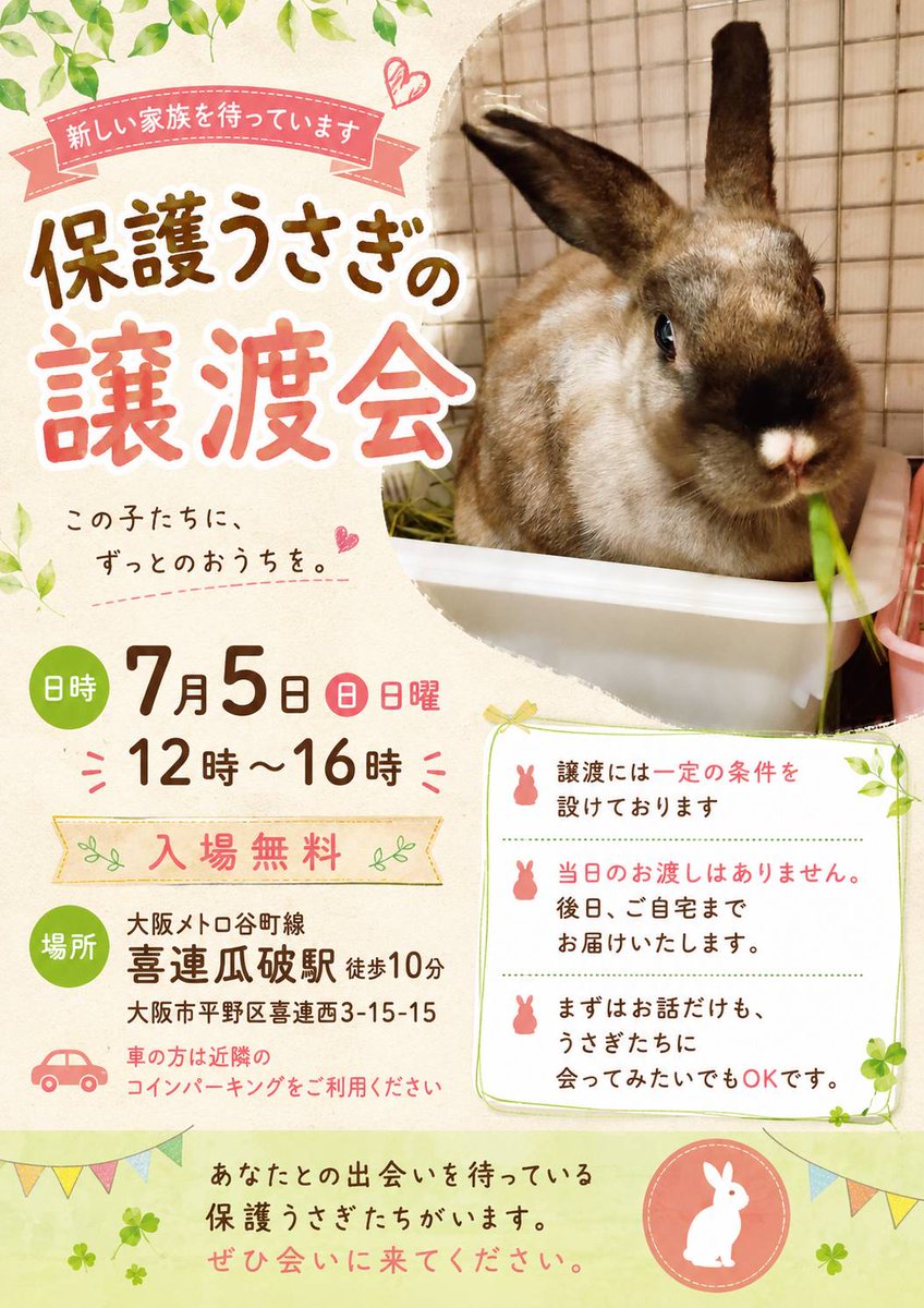 usagisummit1's tweet photo. ぜひお待ちしております。
お問い合わせ
info@usagisummit.com
09020431235 （ふじた）
#うさぎ　#保護うさぎ
#うさぎ譲渡会
#うさぎと暮らす https://t.co/JhqQNuP6B8