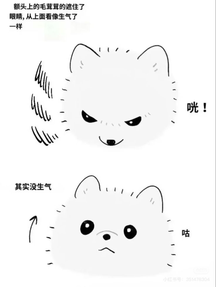 minno486's tweet photo. https://t.co/mdaatVS2Ip