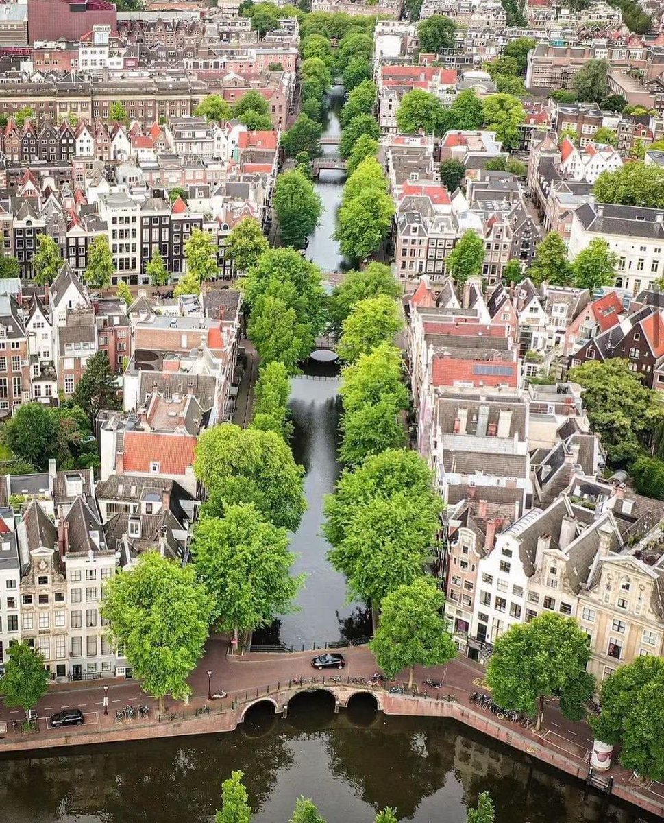 autumndreams01's tweet photo. Amsterdam, Netherlands 🇳🇱 https://t.co/sR47DhQgfA