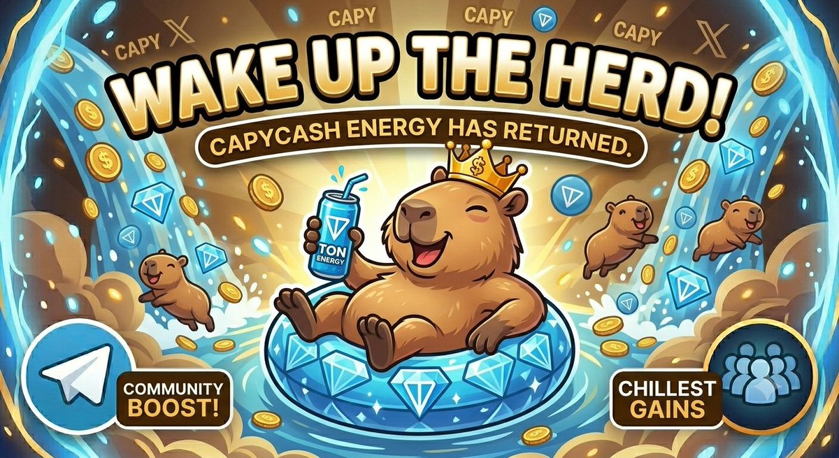 CapyCashe's tweet photo. We've been chilling, but never sleeping. 👑🐾🏊‍♂️

​The herd is waking up! CapyCash energy is back on TON network. Big things are cooking in the cash pool. 💰
​👇 Stay tuned and join the community:

​🔗https://t.co/eAuhqvYBFY

​#CapyCash #TheReturn #TONnetwork #Memecoin $TON $NOT https://t.co/RK8g8mRMoa