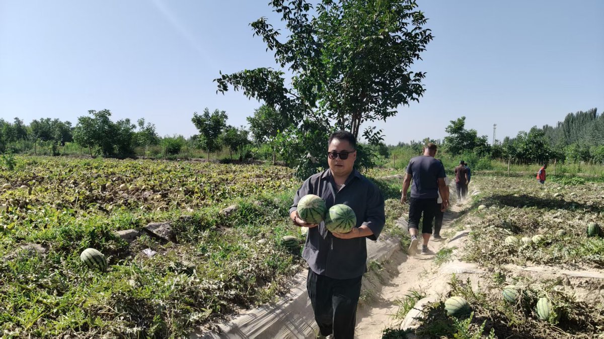 dbdx0c's tweet photo. Hotan’s fruits are fully ripe this summer. The meltwater from Kunlun and water of Zhandou Canal gift us this natural sweetness.
今夏和田瓜果尽数成熟。昆仑融水与战斗渠的活水，滋养出独属于这片绿洲的清甜。
#Hotan #Xinjiang https://t.co/ucHUQiUJPz