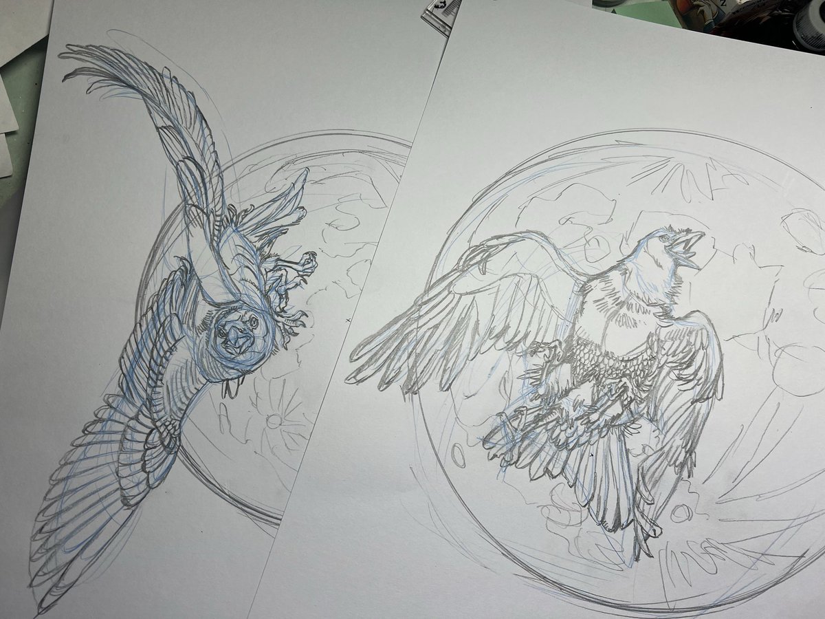 honjo_kei's tweet photo. 仕事の合間に
いま描きたい絵を構成・ラフスケッチ・・・「八咫烏とストロベリームーン」「戯れる神使たち」「ツシマヤマネコとミツバチ」「ブランコ」
う〜む・・・頭を少し冷やそう。
あっ！・・・しまった💦原稿に戻らないば💦

#マンガハンズ
#寿都人プロジェクト
#シン鳥獣戯画 https://t.co/dvY3dhzitc