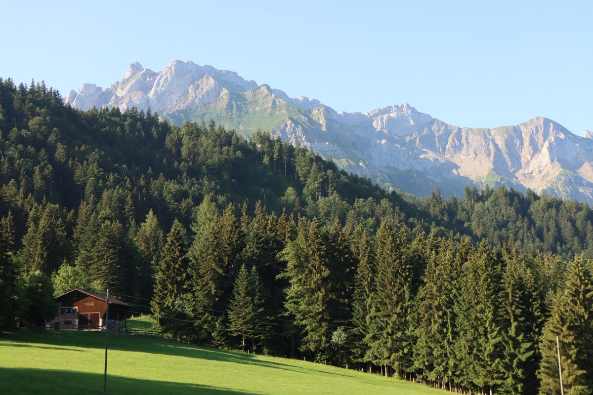 ArminZi's tweet photo. 🇨🇭 #lovenature https://t.co/RB73tlOZlU