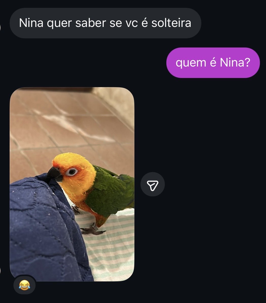 gabyjales's tweet photo. bom dia! https://t.co/WdWodeyCxF