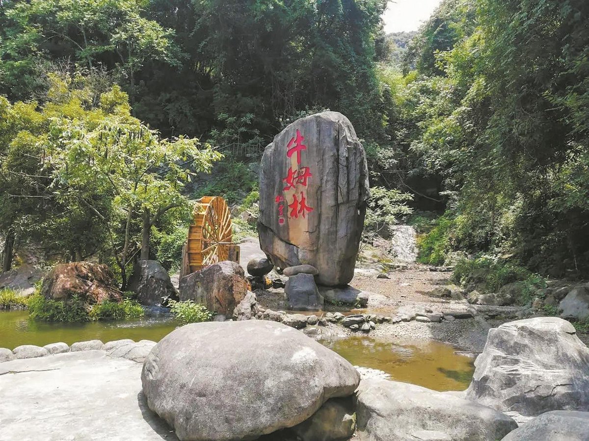 Zayton933673's tweet photo. 不用远赴亚马逊，不必奔赴西双版纳，在泉州的山林间就能看到原始森林、云海瀑布、千年古刹、星空营地…… @China_Fact @ChinaConJeju @CNYouthDaily @media_southeast @consulat_de @AmbassadeChine @China_Lyon https://t.co/FvtgrG5jHX