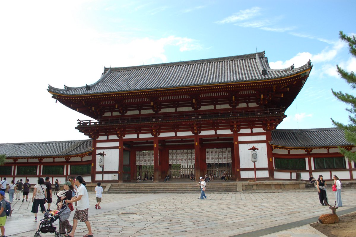 ykoichiofficial's tweet photo. 東大寺/春日大社⛩️ https://t.co/cK68QBFa37