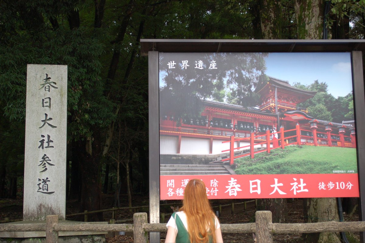 ykoichiofficial's tweet photo. 東大寺/春日大社⛩️ https://t.co/cK68QBFa37