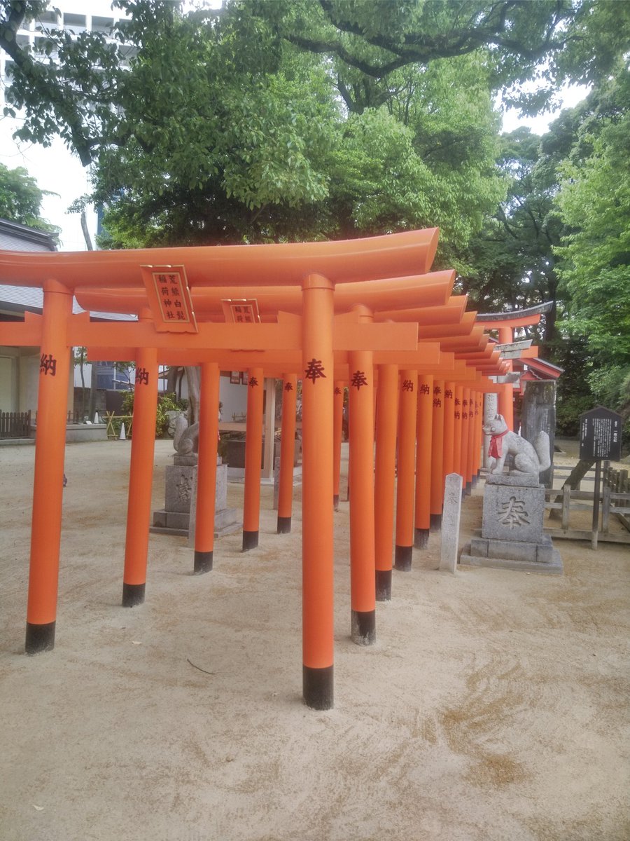 Kamado151's tweet photo. どこだこれ？🤔
多分博多の住吉神社⛩️
#これを見た人は自分のスマホで最も古い写真を公開しなさい https://t.co/yO4ZSD247p