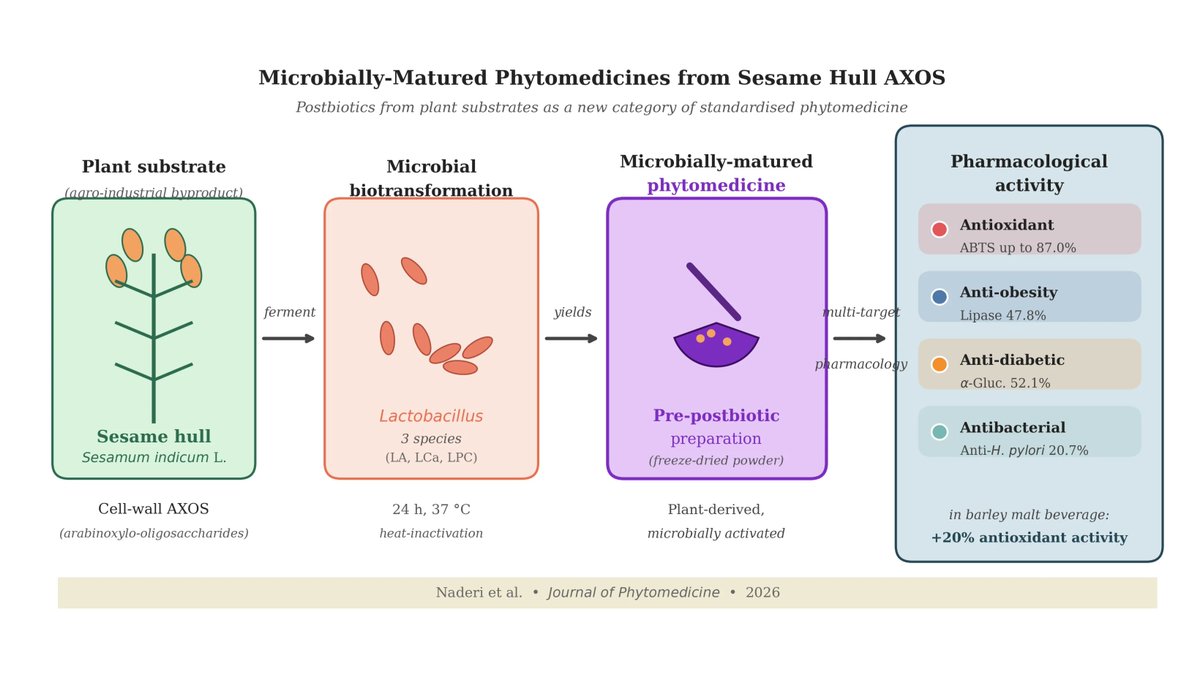 jphytomed_MDPI's tweet photo. ♻️ What if agricultural waste isn’t waste at all—but the starting point for next-generation functional medicines?

✍️ Fatemeh Naderi, et al.

🔗 Find out here: https://t.co/MxRWmiPzSL

 #FunctionalFoods #Postbiotics #Microbiome #Nutraceuticals  #Antioxidants #PlantScience https://t.co/M17roeurfZ