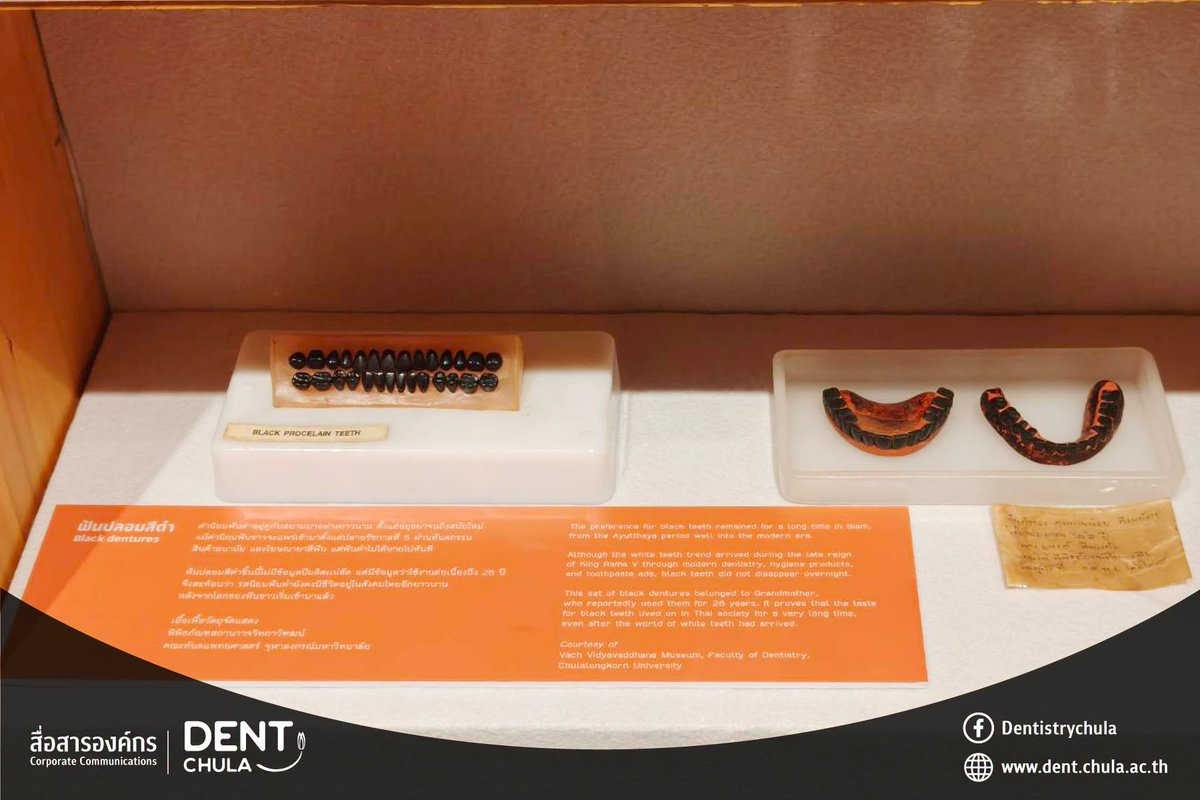 DentistryChula's tweet photo. คณะทันตแพทย์ จุฬาฯ ร่วมจัดแสดง "ฟันปลอมสีดำ" ในนิทรรศการใหม่ มิวเซียมสยาม "สนทนาสยามร่วมสมัย ตอน คนแปลกหน้า"
.
อ่านเพิ่มเติม : https://t.co/pKDjOBK8DO
.
#dentchula #SDG3 #SDG4 #MuseumSiam https://t.co/l4TvIr7smR