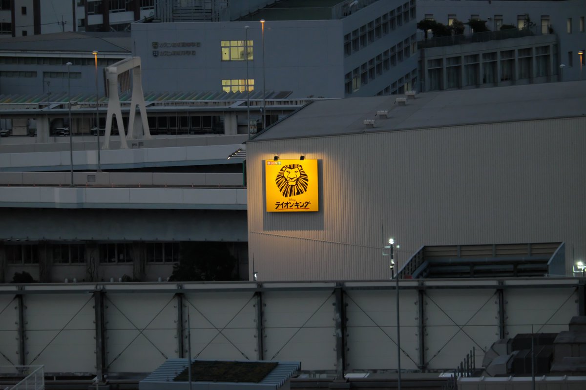 PatrascheTheCat's tweet photo. ホテルの部屋窓から♪ https://t.co/tzQA1Ry4yJ