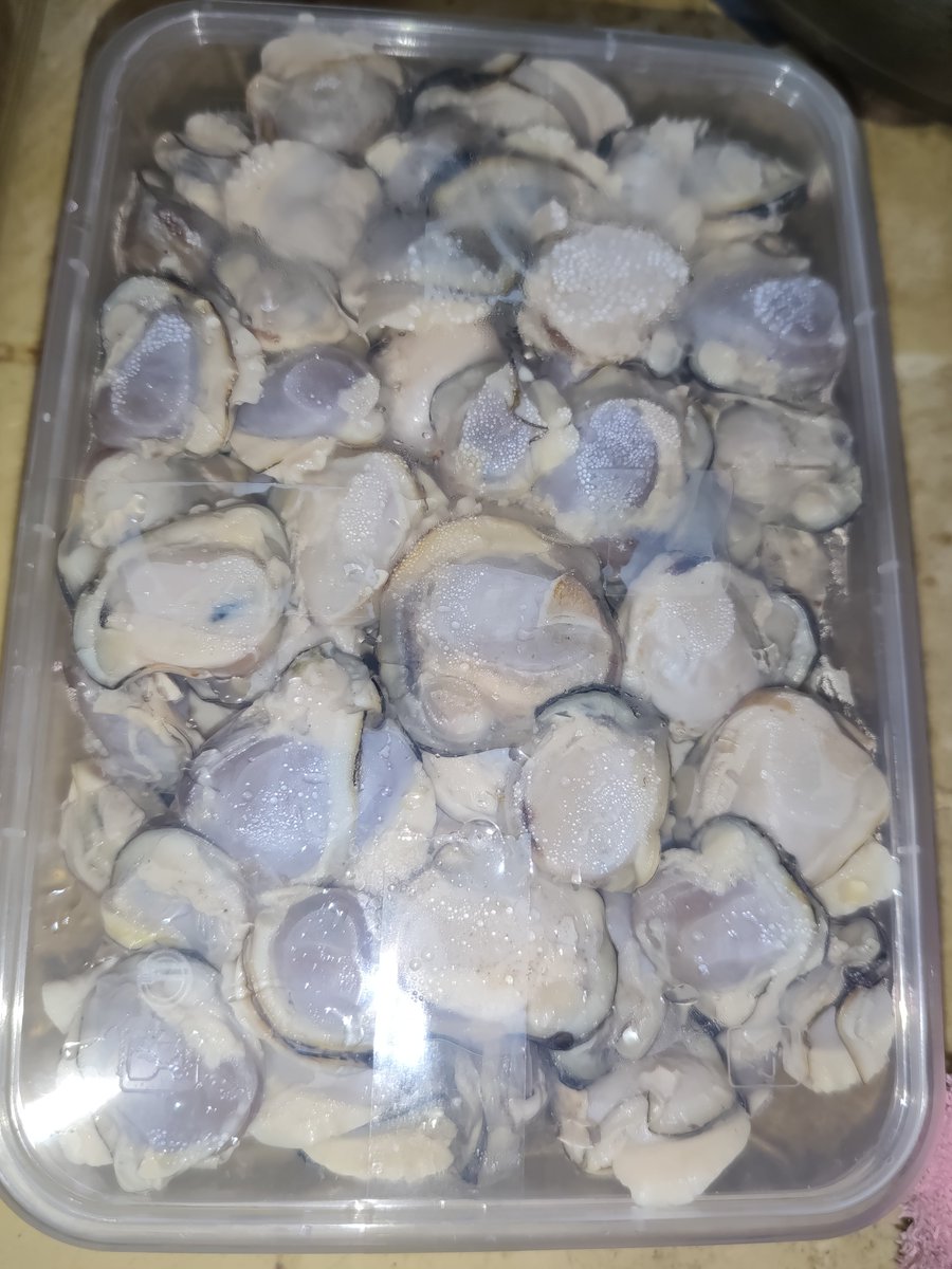 aicha0709's tweet photo. Sumakto nmn ung lulutuin Kong ulam sa bias ko..adobo sa gata na bibe ng Samar😋😋😋
Sarap parang ung bias ko @stellajero_ https://t.co/o54bqMh2mS