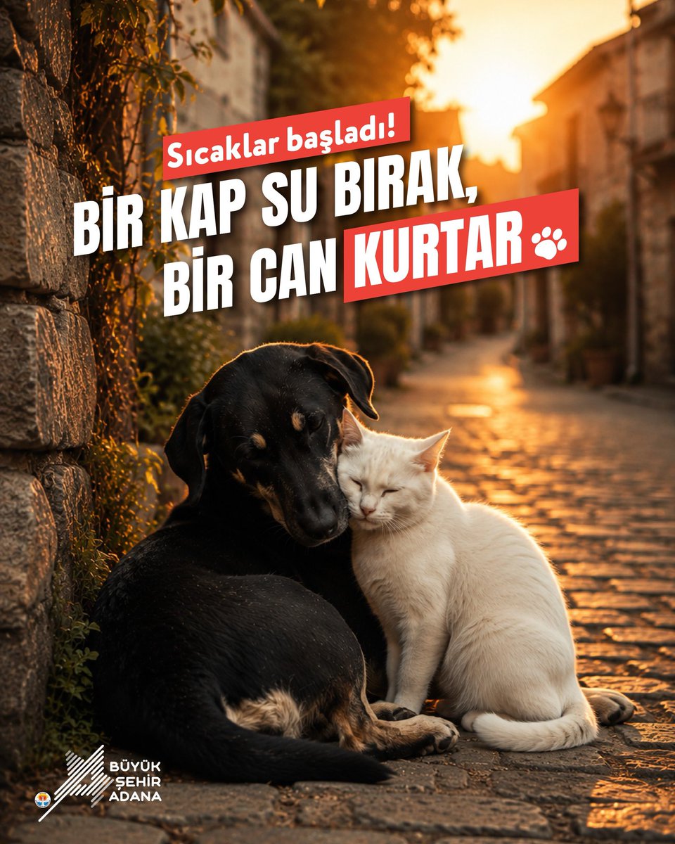 Adana_Bld's tweet photo. 🐾 Sıcaklar başladı!

Sokakta yaşayan dostlarımız için kapınızın önüne bırakacağınız bir kap temiz su, onların yaşam mücadelesinde büyük bir destek olabilir.

💧 Unutmayın:
Bir kap su, bir can kurtarır. 🤎 https://t.co/TuzRm6RXdh