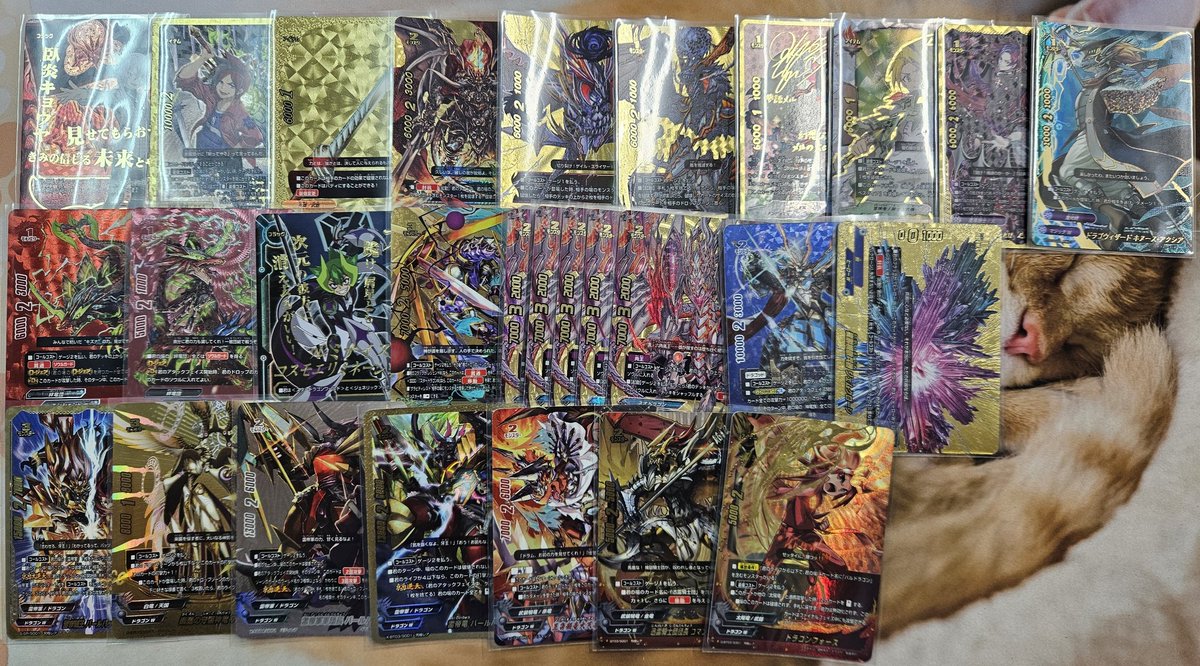 バディファイト 買取ありがとうございます😭 色々入荷してます🔥 ご