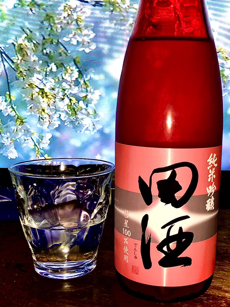 mt_19143's tweet photo. 今宵は青森県・西田酒造の銘酒【田酒 純米吟醸 彗星】で一献。西暦2026年夏、創業148年を迎えた本州最北の酒蔵より″赤い彗星″が今年も襲来。見せてもらおうか、酒米『彗星』を50%まで精米した性能とやらを。淡麗でキレのある旨味と爽快な酸味が絶妙。乾杯！ https://t.co/iDn6nOCvfP