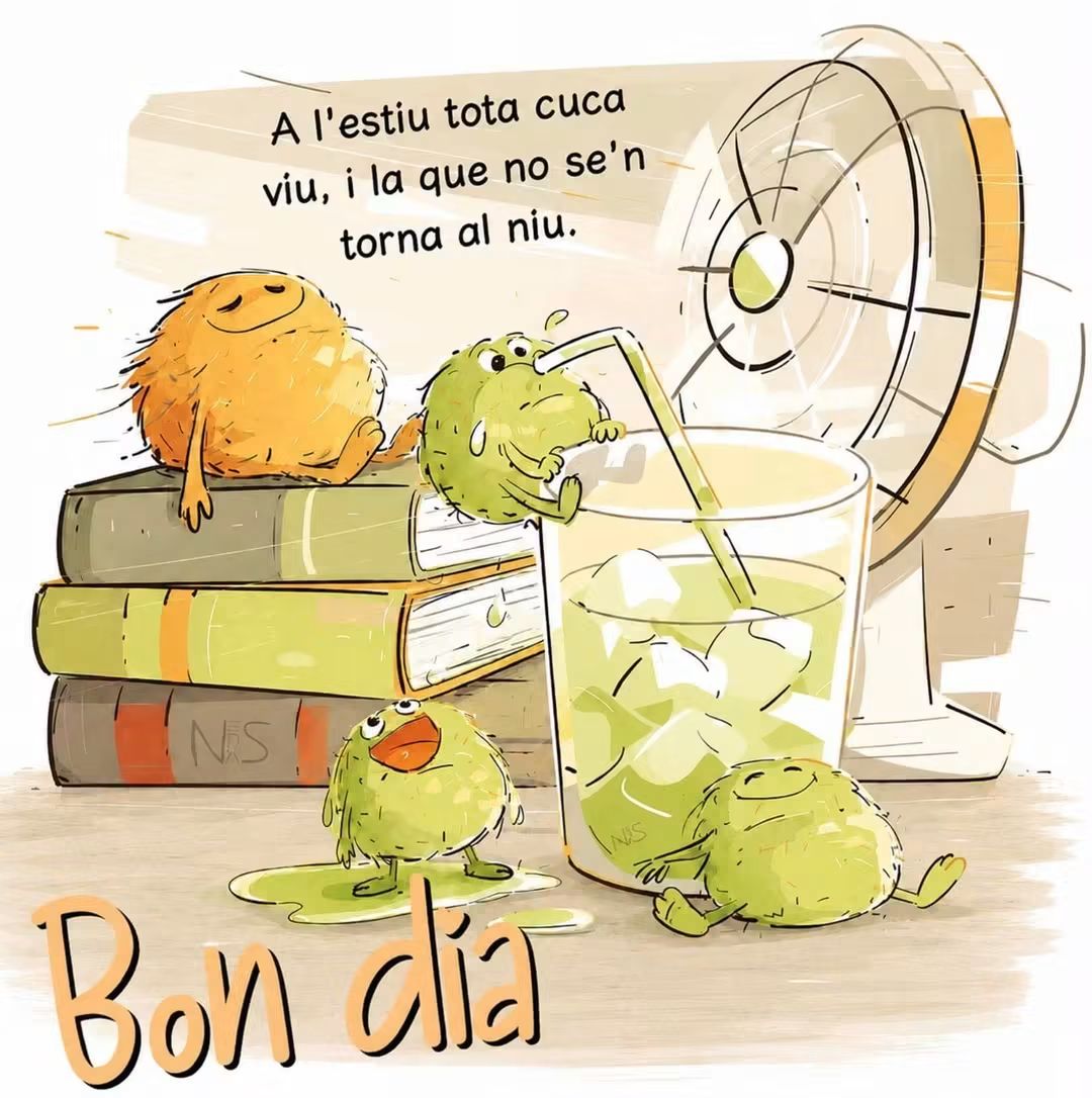 CROcultura1's tweet photo. @Neusnans @MariaRo14093099 @Esquitx17 @indy_catalana @ALlanosMassa @JoseMar72168618 @Rosampl2 @Anna09239196 @royo1_royo @EnsenyatAntonia @eugenia18117 @Robustiana2023 @EvamolloNov @Pilar70116971 @NriaBadia48079 @AleidaB95 @BrubakerBr45944 @mixpelirroja @ABalagu @bartu1962 @Papallonab33641 @PiotrSalva71781 @slipnegre @tespero72vens @diminuta__ @psiborn @Carme8429 @MnicaRebullCome @OlgaIKL @MONTSEC1 @RepublicaToni @sinceridad75 @GRANOTA15 @arilambrecht @chpositiva @cleo_o_patra @FlorensaSoler @RosaMaSoberana @RawsonGladis @Aina181980 @maggiemarge1 @angelet14917187 @norasgutierrez @Altafaja1P @montsept0701 @tristanbernard9 @MonicaLondres @Jessyvalgal19 Gràcies   🤗   N e u s 🌼🌺🌼 

Que puguis gaudir de un meravellós #Dimecres i que el mes de Juliol que comencem, et dugui moltes alegries i sobretot molta salut 🥂 https://t.co/oPi9wrlBGm
